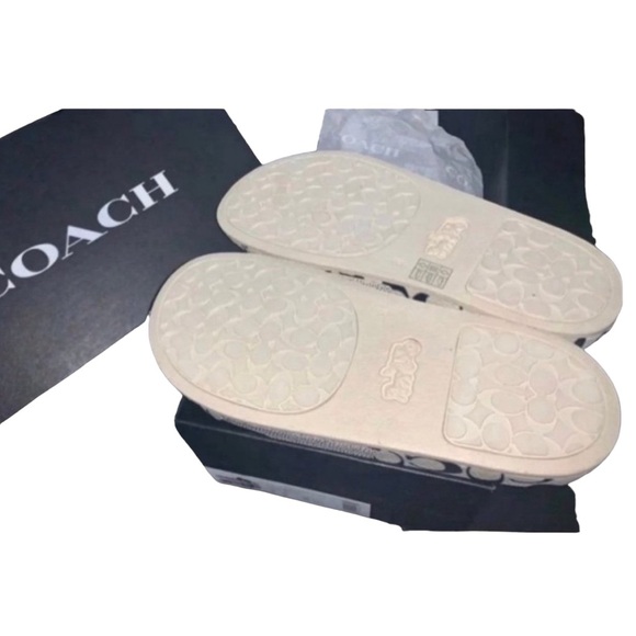 NIB COACH x Keith Haring Mickey Slide Lmtd - Picture 11 of 12